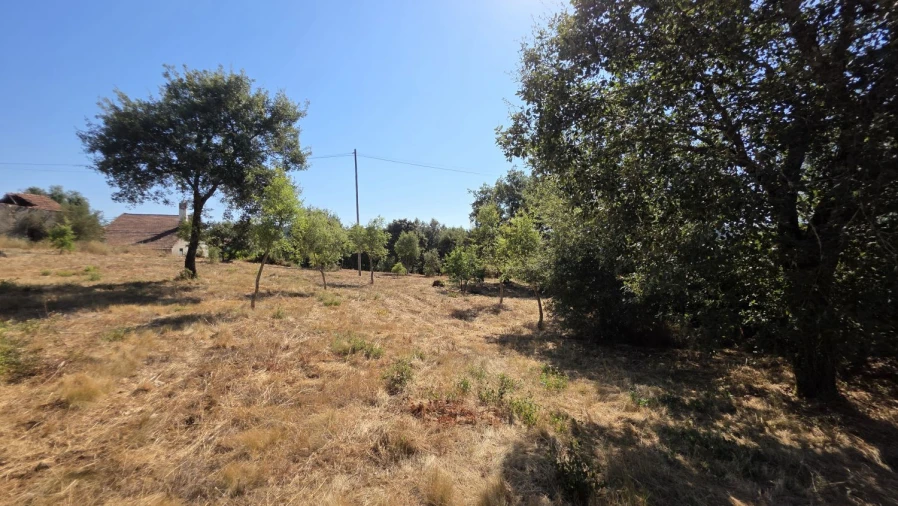 Terreno para Venda em Areias e Pias Foto 12