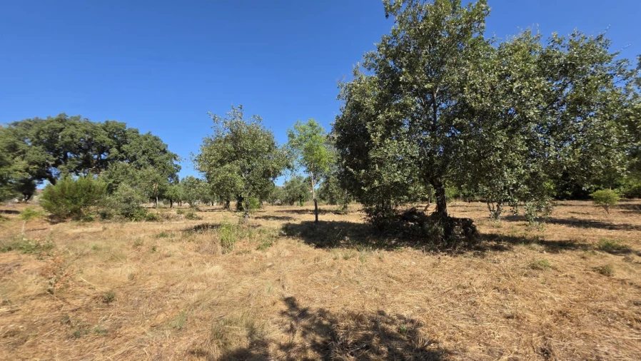 Terreno para Venda em Areias e Pias Foto 14
