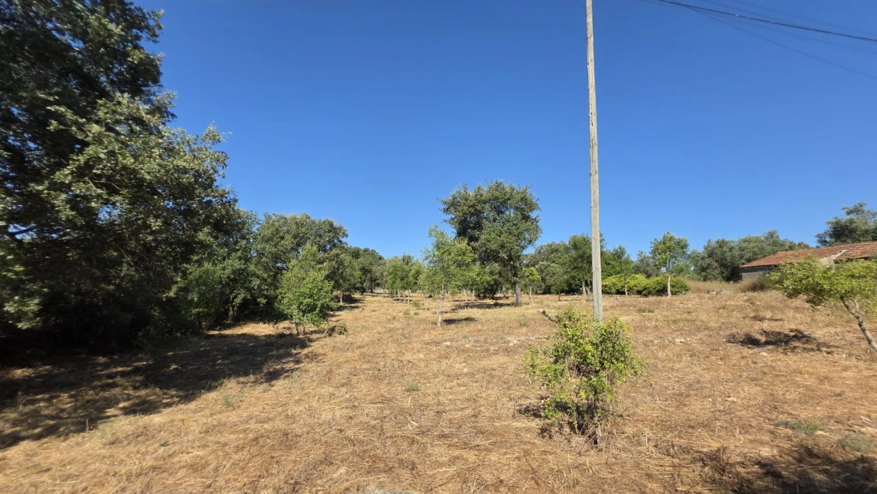 Terreno para Venda em Areias e Pias Foto 8