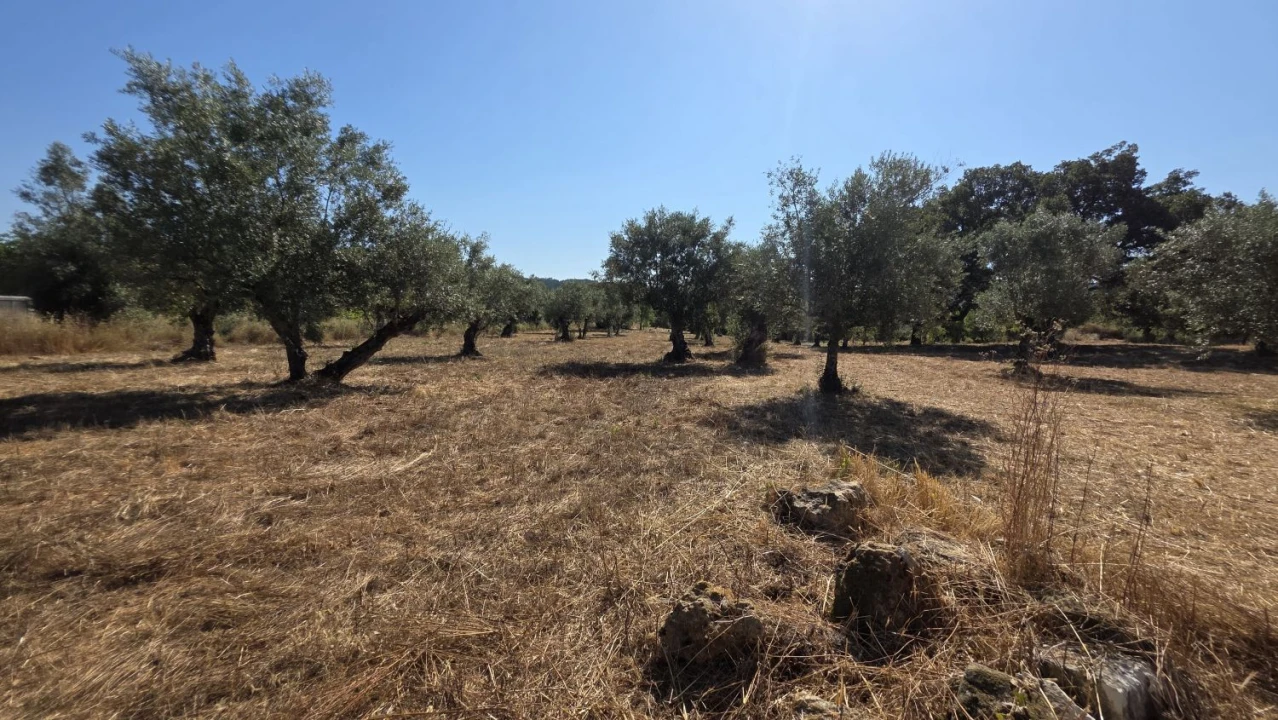 Terreno para Venda em Areias e Pias Foto 29