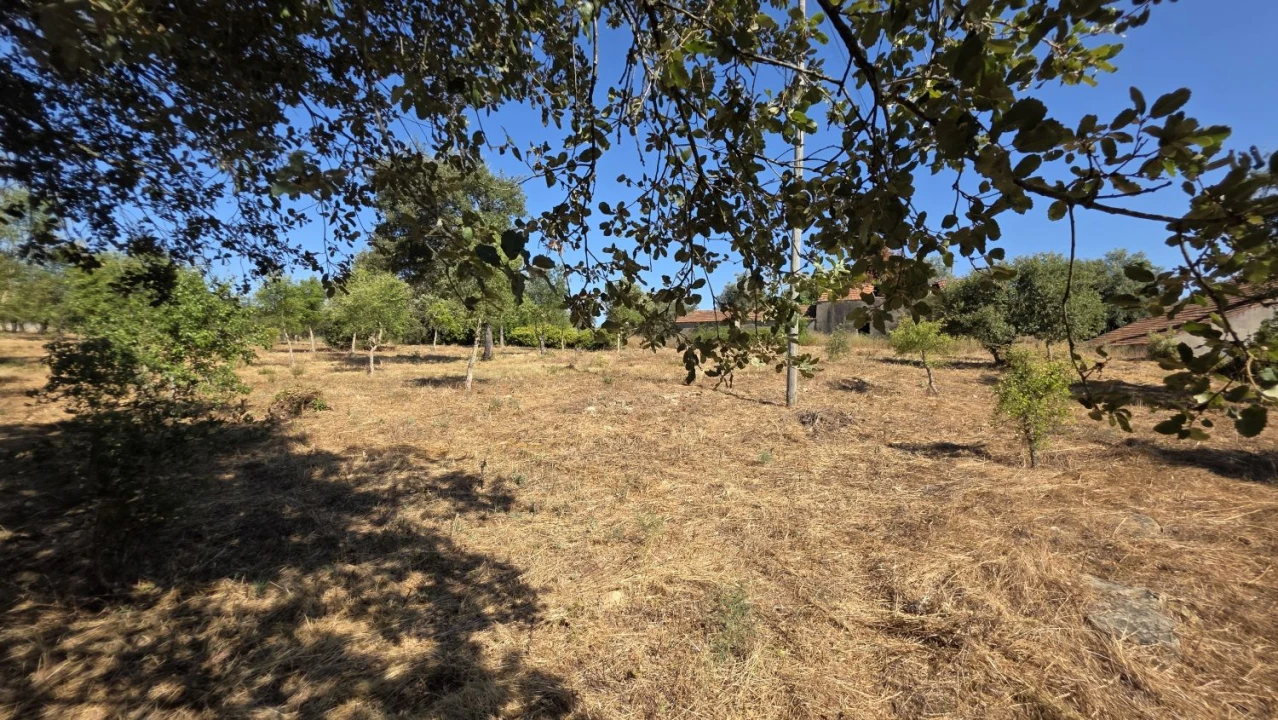 Terreno para Venda em Areias e Pias Foto 10