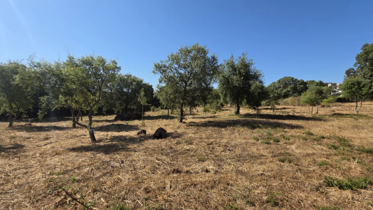 Terreno para Venda em Areias e Pias Foto 38