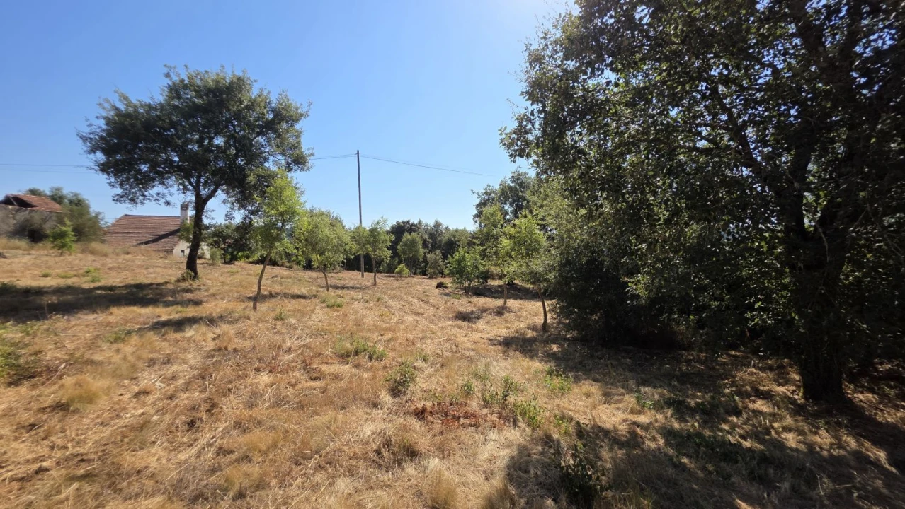 Terreno para Venda em Areias e Pias Foto 12