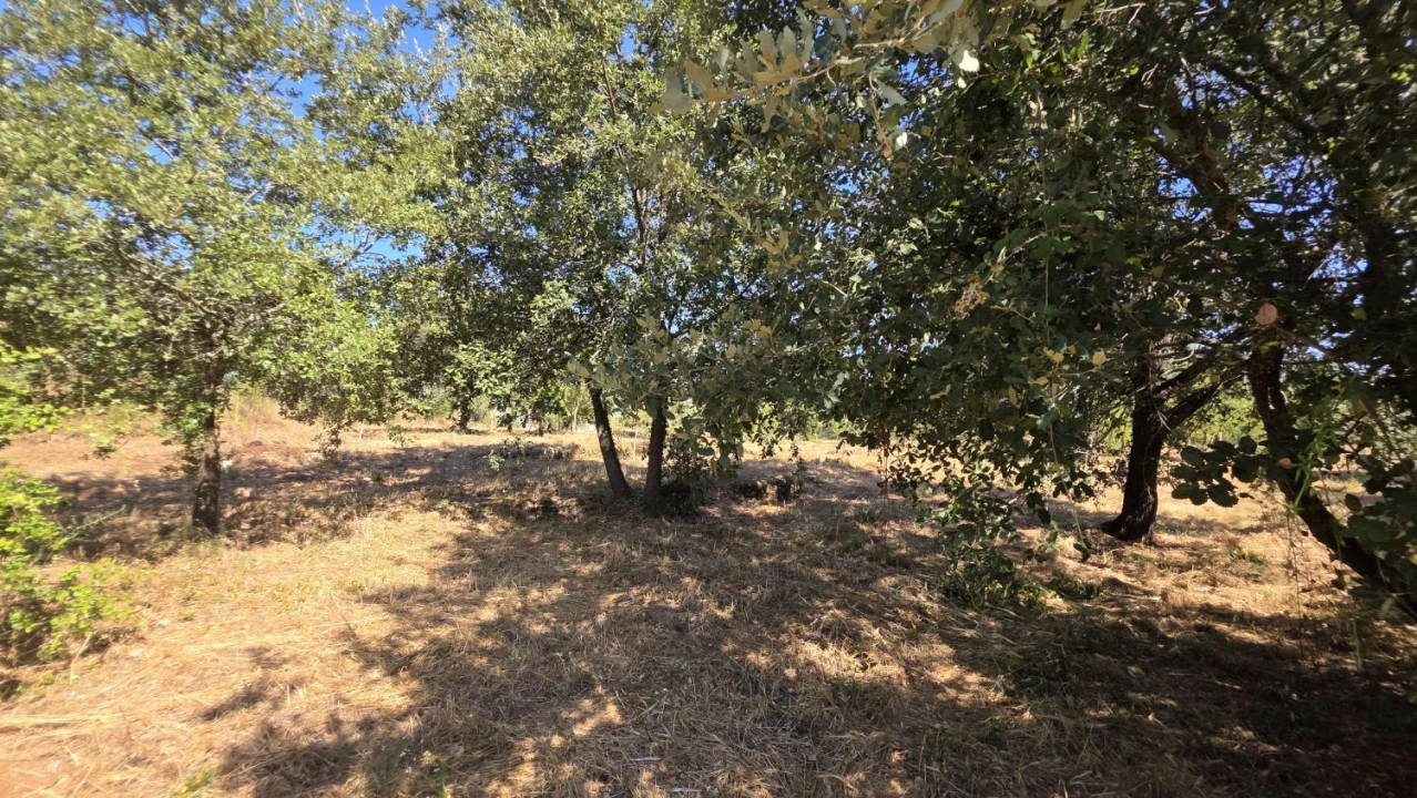 Terreno para Venda em Areias e Pias Foto 15