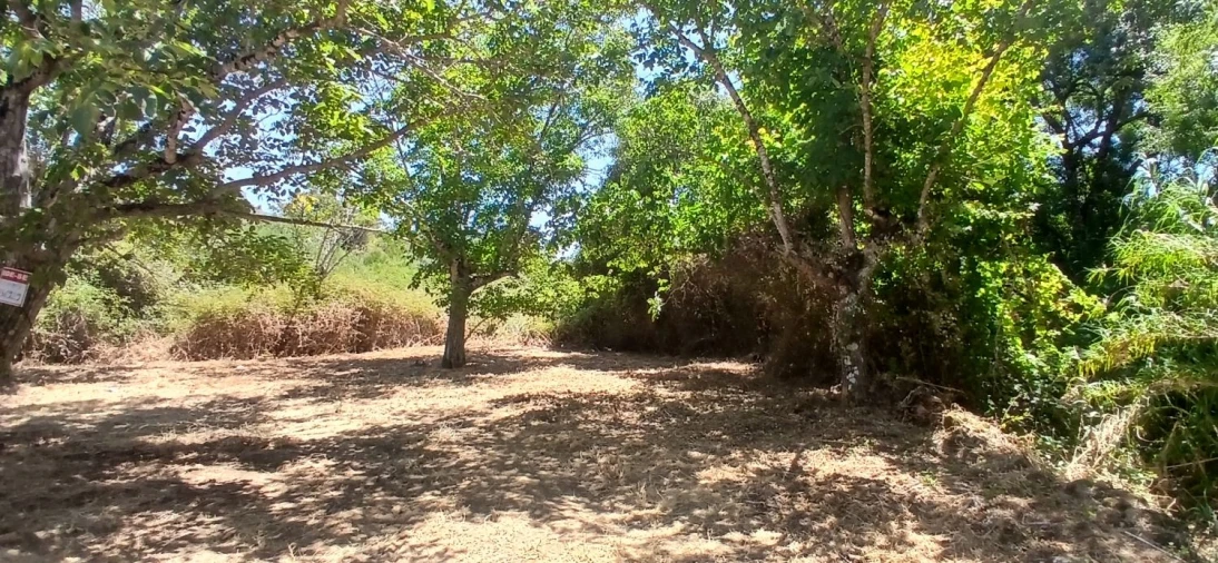 Terreno para Venda em Assentiz Foto 5