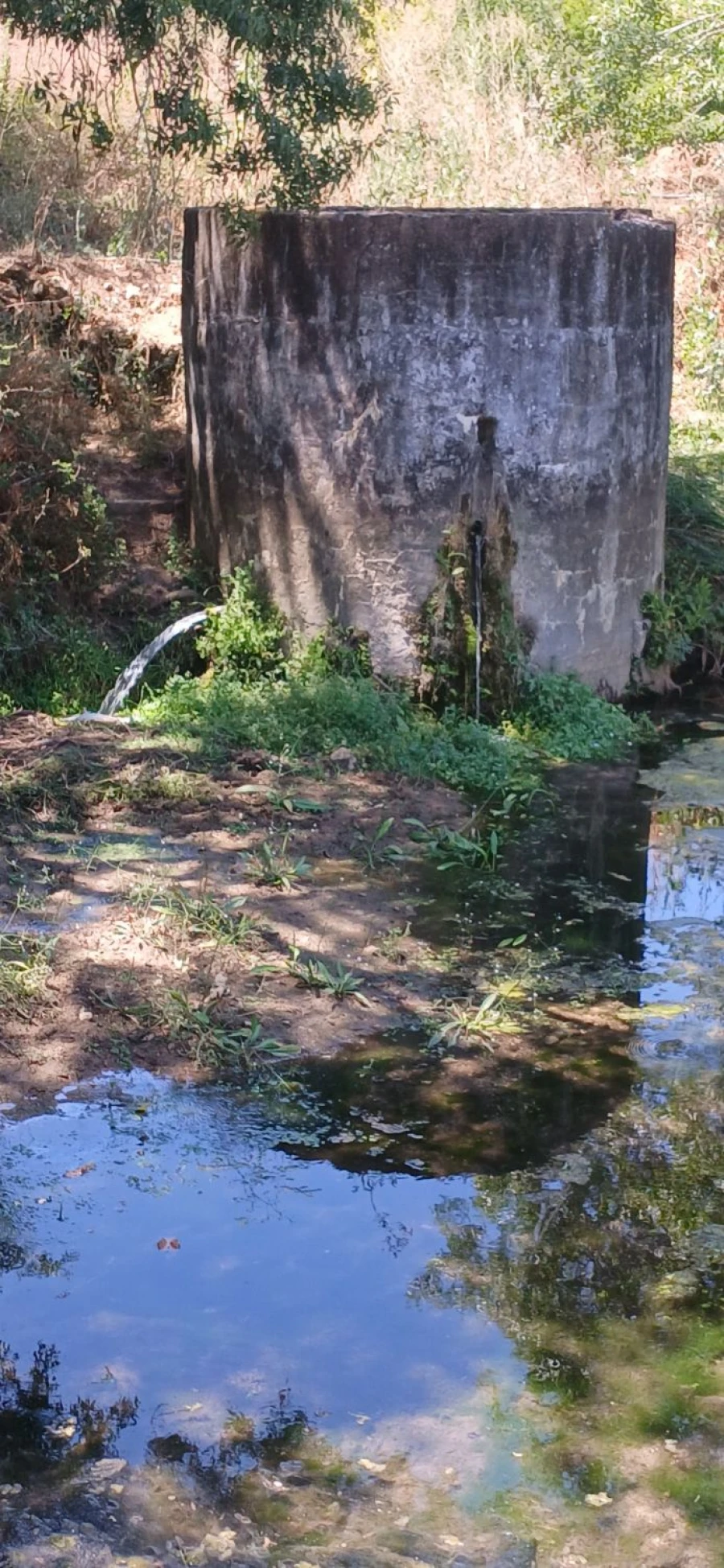 Terreno para Venda em Assentiz Foto 9