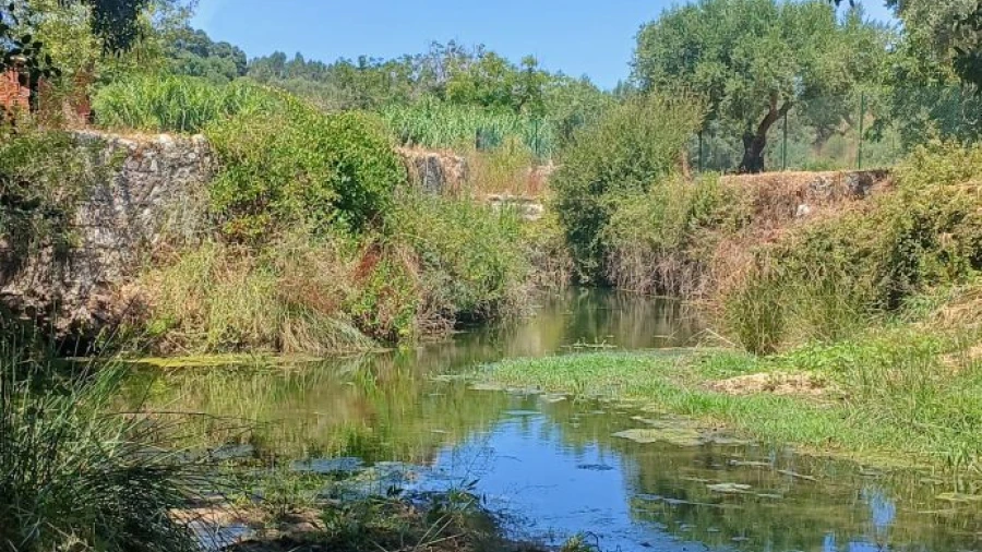 Terreno para Venda em Assentiz