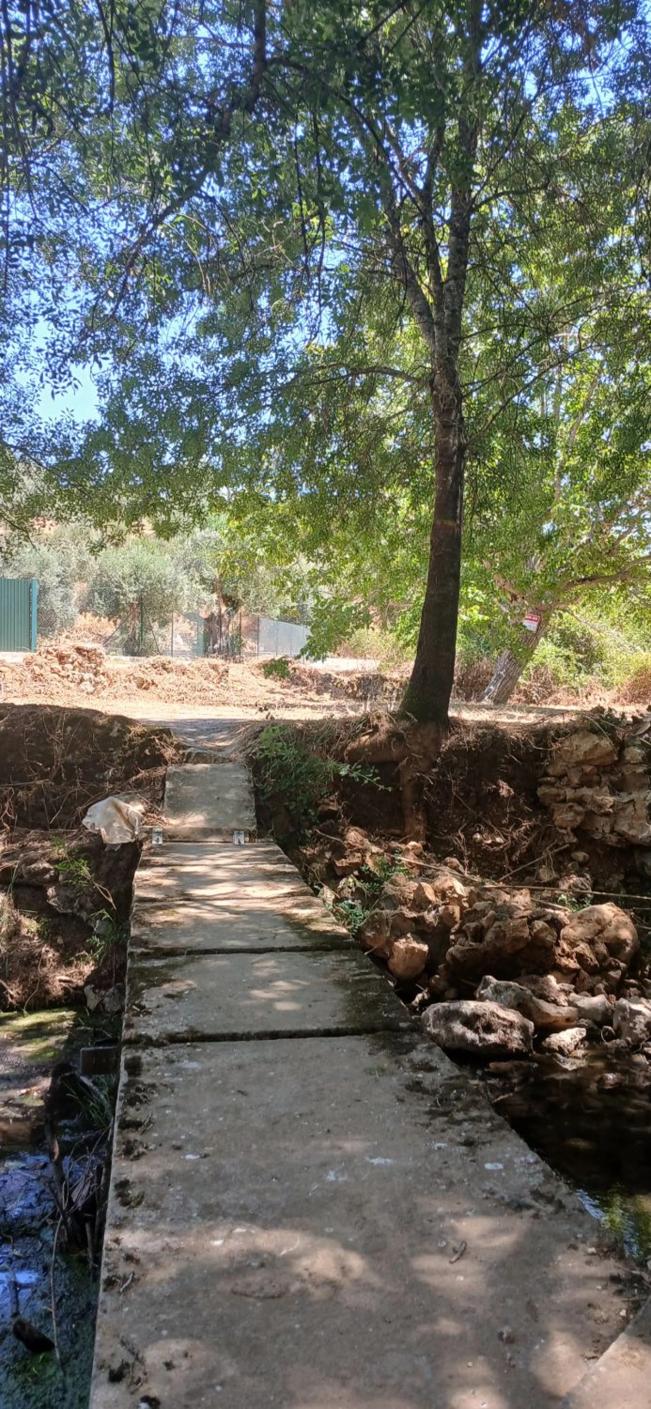 Terreno para Venda em Assentiz Foto 3