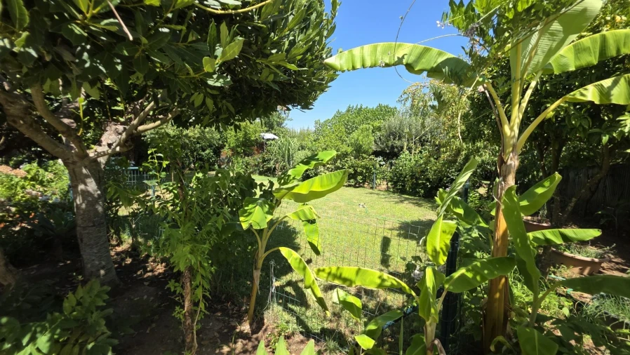 Moradia T7 para Venda em Serra e Junceira Foto 51