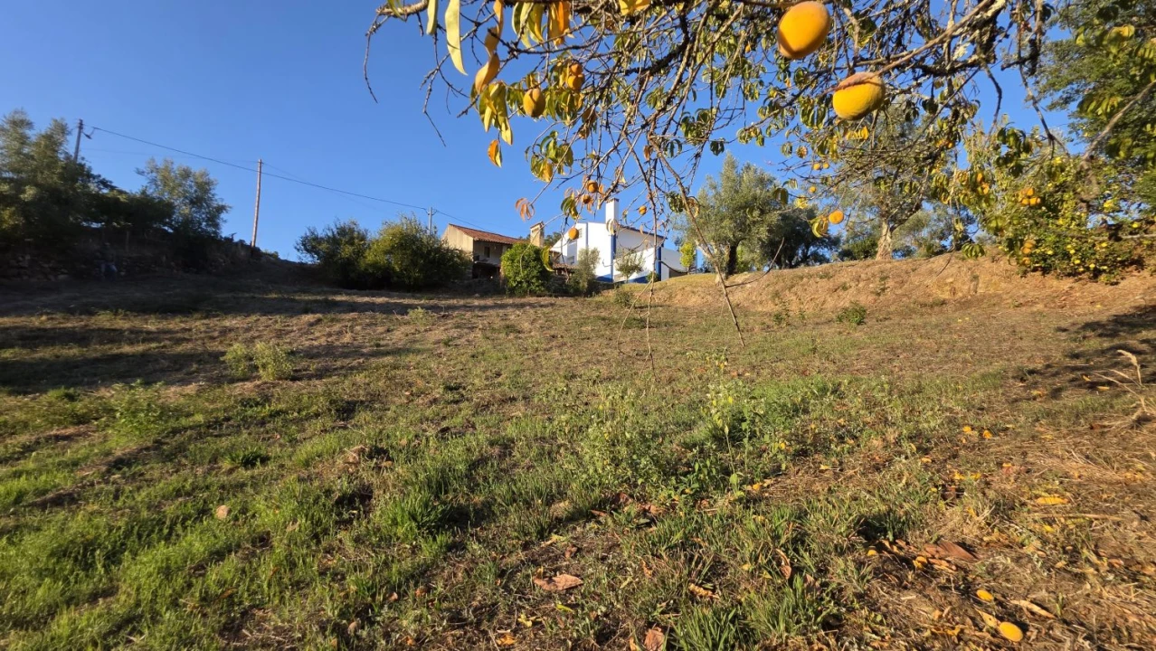 Moradia T3 para Venda em Ferreira do Zezere Foto 11