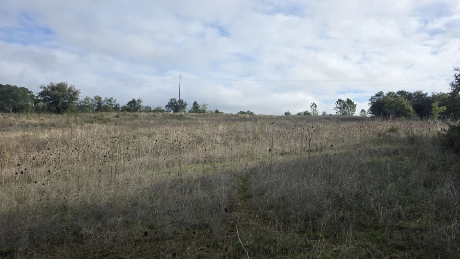 Terreno para Venda em Areias e Pias Foto 23