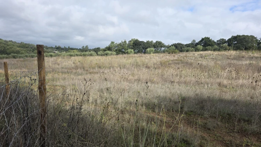 Terreno para Venda em Areias e Pias Foto 9