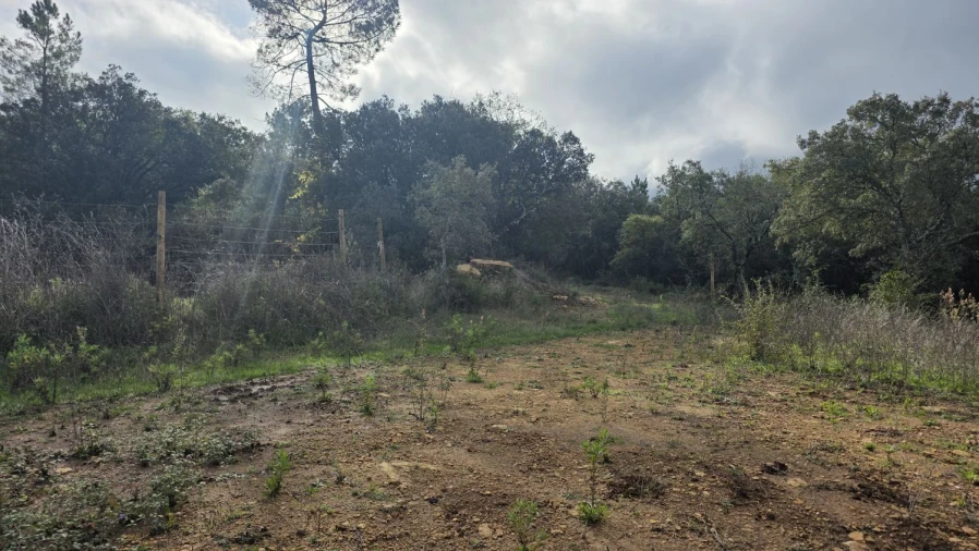 Terreno para Venda em Areias e Pias Foto 19