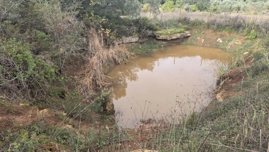 Terreno para Venda em Areias e Pias Foto 21
