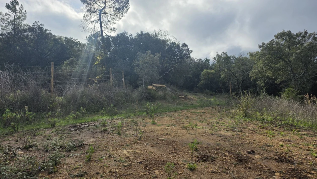 Terreno para Venda em Areias e Pias Foto 19