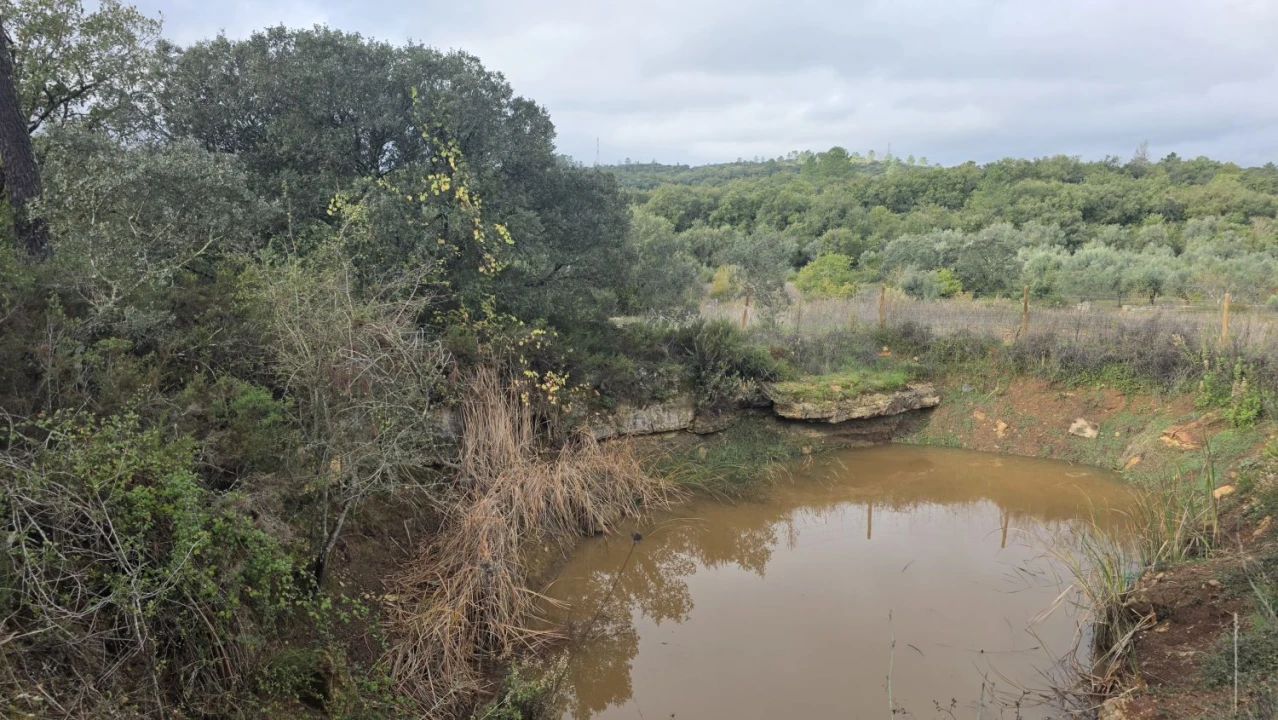 Terreno para Venda em Areias e Pias Foto 18