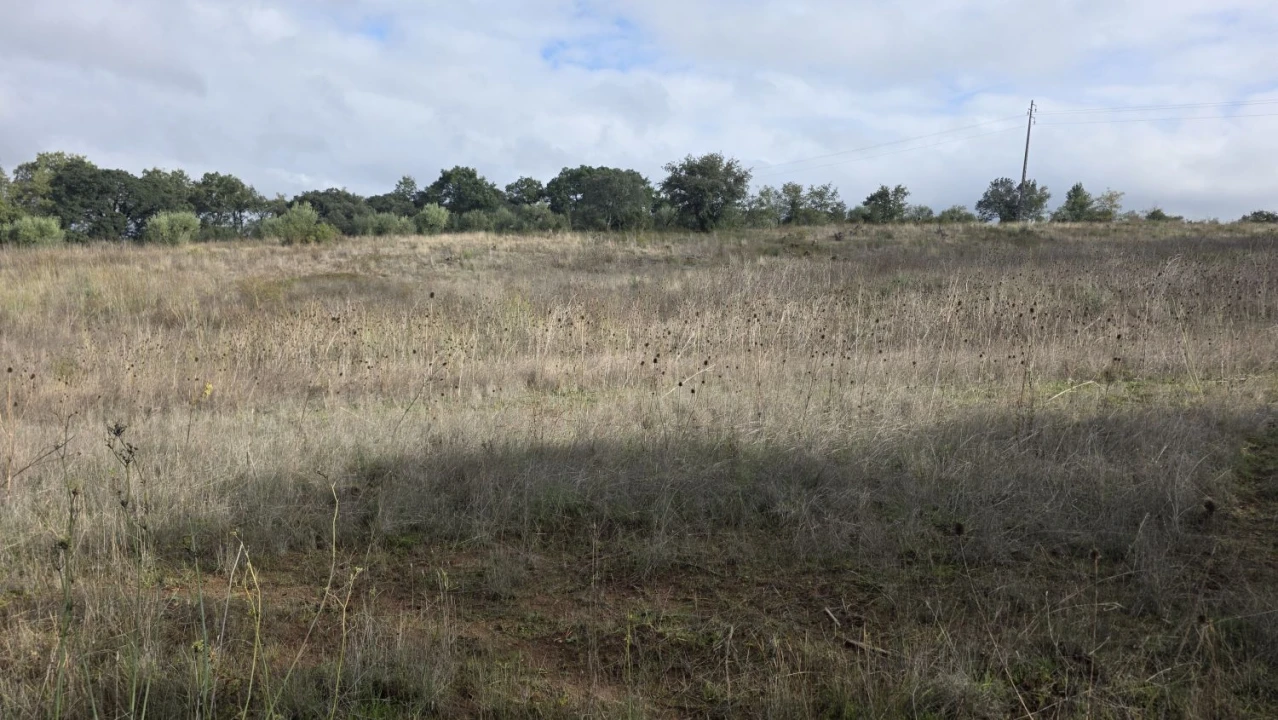 Terreno para Venda em Areias e Pias Foto 5