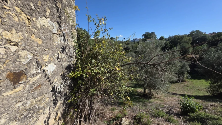 Moradia T3 para Venda em Casais e Alviobeira Foto 27