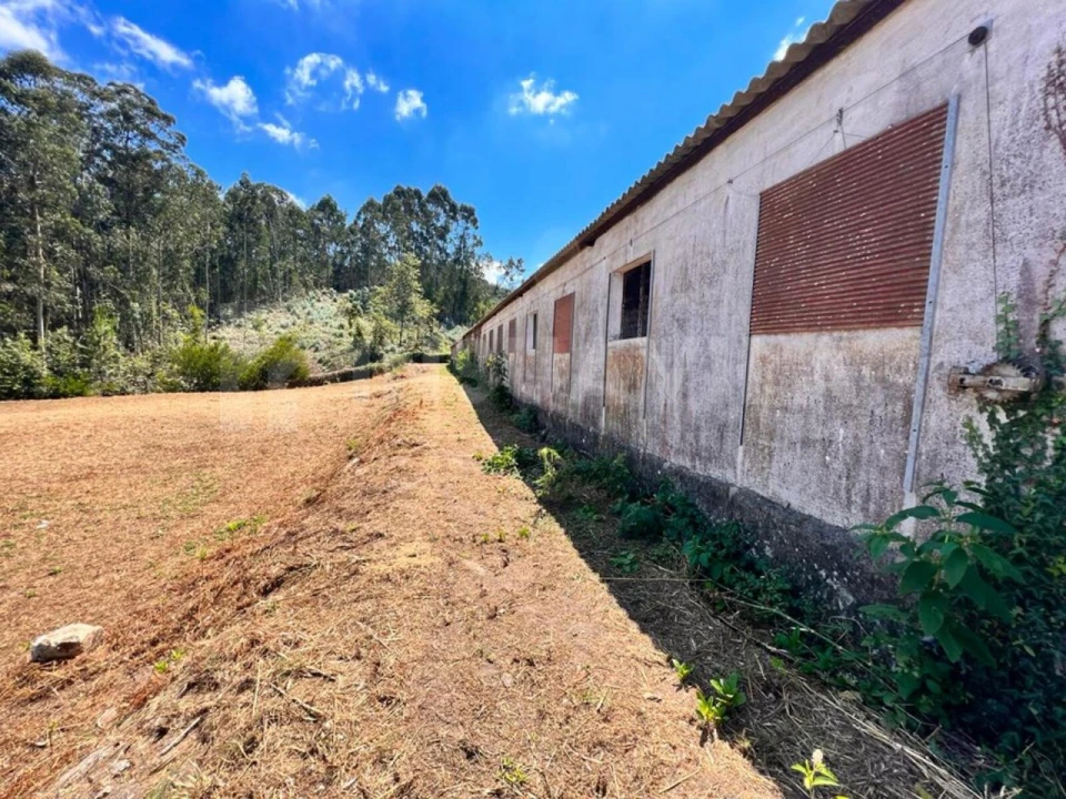 Armazém para Venda em Seixas Foto 16