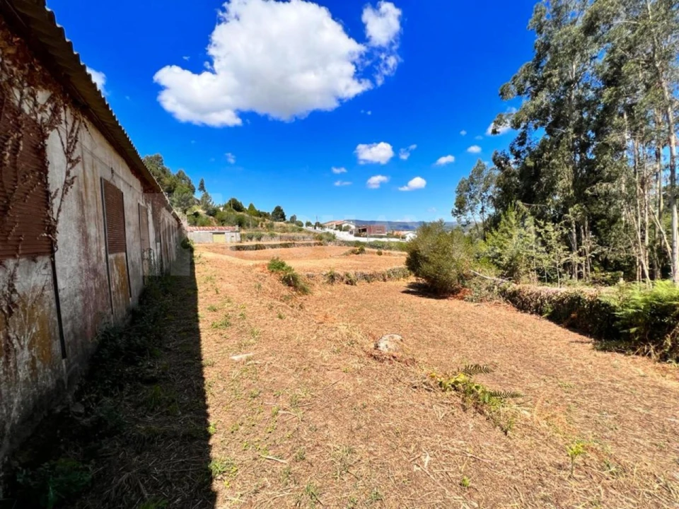 Armazém para Venda em Seixas Foto 17