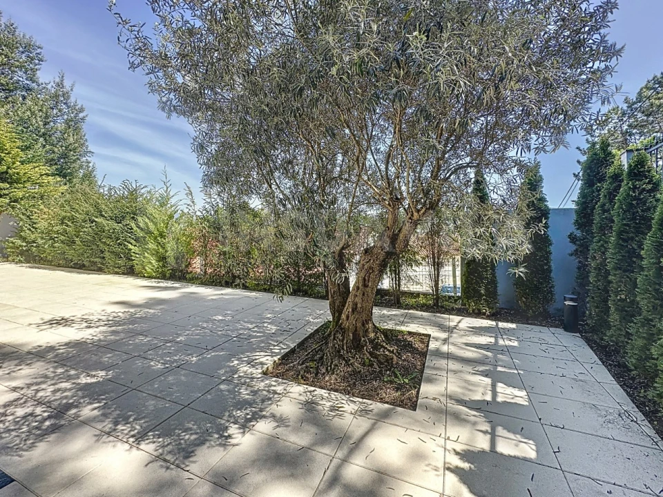 Moradia T4 para Venda em Caminha (Matriz) e Vilarelho Foto 35