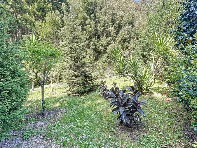 Moradia T4 para Venda em Caminha (Matriz) e Vilarelho Foto 37