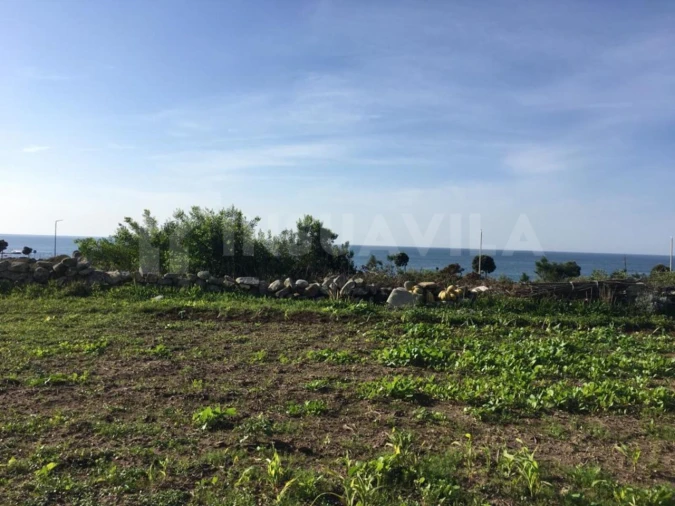 Terreno para Venda em Vila Praia de Ancora Foto 2