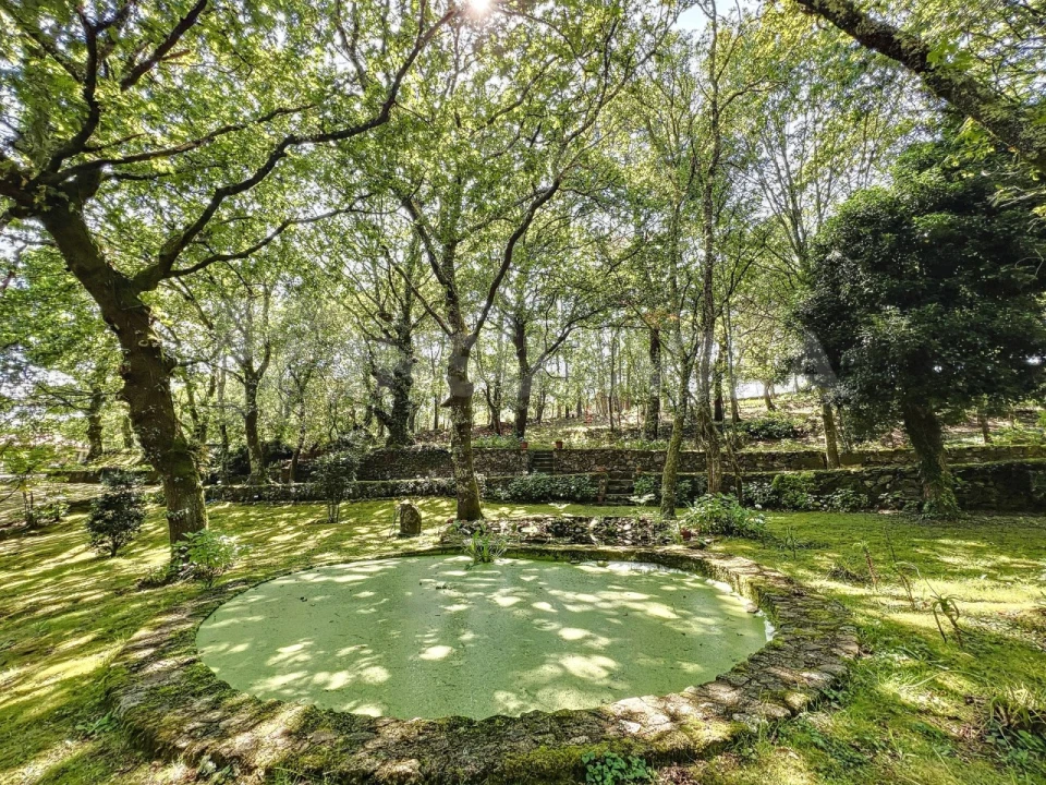 Moradia T6 para Venda em Mentrestido Foto 19