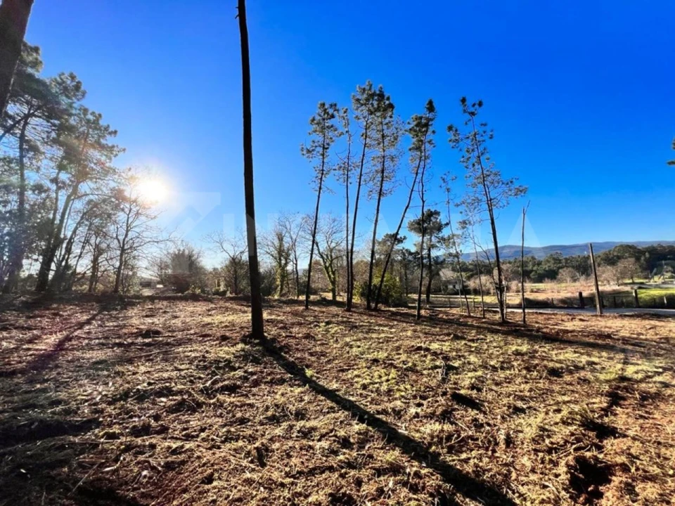 Terreno para Venda em Campos e Vila Meã Foto 10