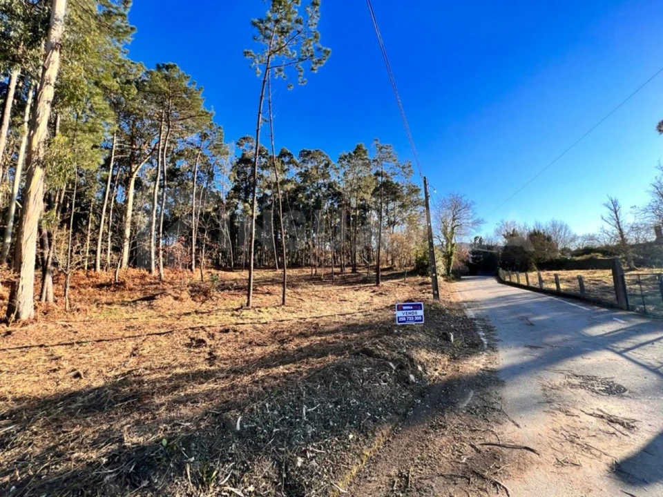 Terreno para Venda em Campos e Vila Meã Foto 11
