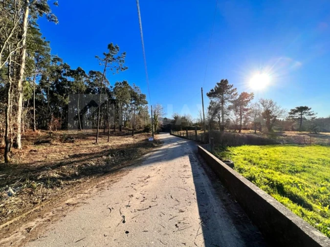 Terreno para Venda em Campos e Vila Meã Foto 1