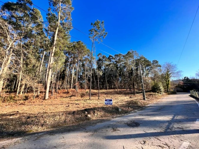 Terreno para Venda em Campos e Vila Meã Foto 3