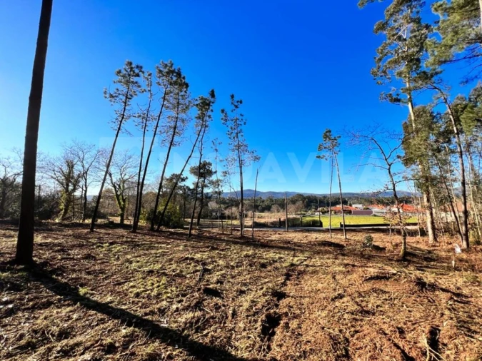 Terreno para Venda em Campos e Vila Meã Foto 5