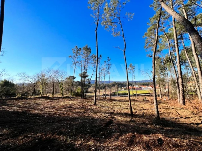 Terreno para Venda em Campos e Vila Meã Foto 6