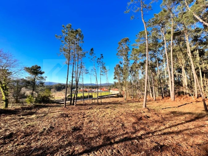 Terreno para Venda em Campos e Vila Meã Foto 7