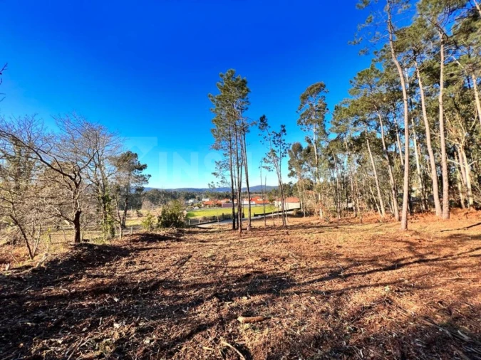 Terreno para Venda em Campos e Vila Meã Foto 8