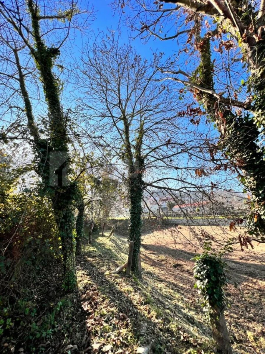 Moradia T2 para Venda em Gondarem Foto 24