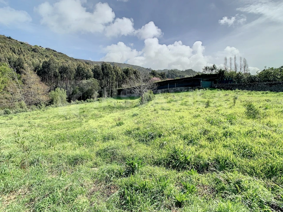 Terreno para Venda em Moledo e Cristelo Foto 9