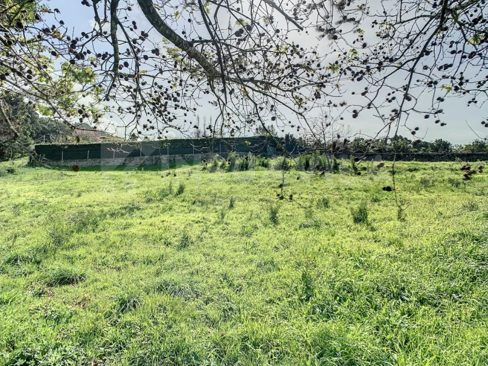 Terreno para Venda em Moledo e Cristelo Foto 10