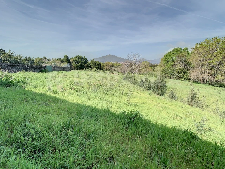 Terreno para Venda em Moledo e Cristelo Foto 11
