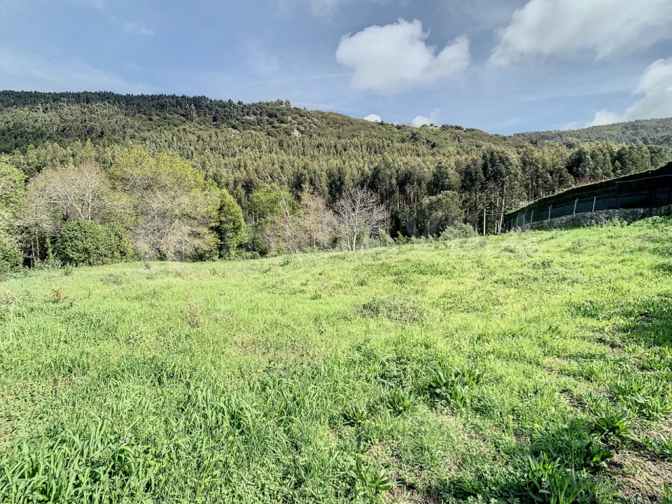 Terreno para Venda em Moledo e Cristelo Foto 14