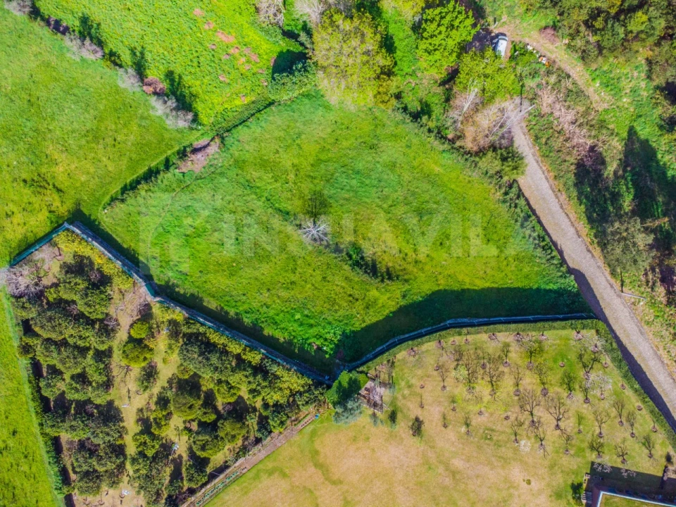 Terreno para Venda em Moledo e Cristelo Foto 18