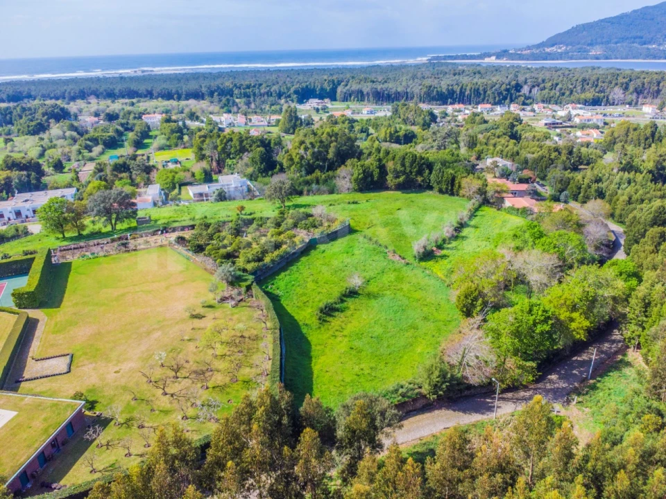 Terreno para Venda em Moledo e Cristelo Foto 2