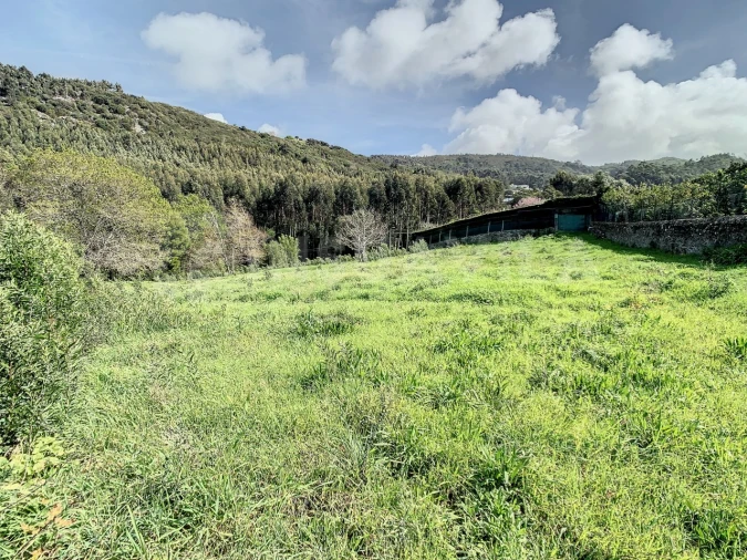Terreno para Venda em Moledo e Cristelo Foto 7
