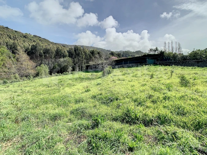 Terreno para Venda em Moledo e Cristelo Foto 9