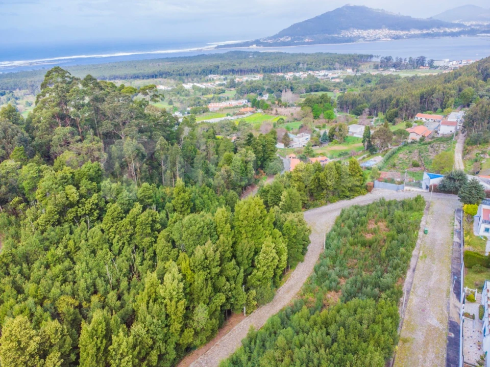 Terreno para Venda em Moledo e Cristelo Foto 4