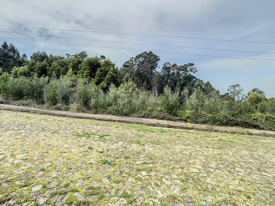 Terreno para Venda em Moledo e Cristelo Foto 8
