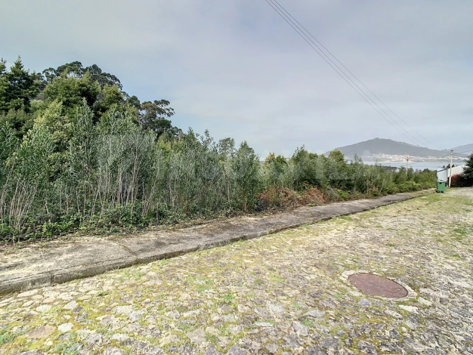 Terreno para Venda em Moledo e Cristelo Foto 9