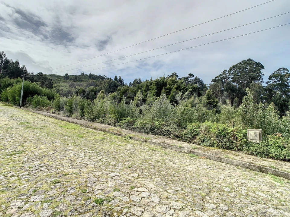 Terreno para Venda em Moledo e Cristelo Foto 10