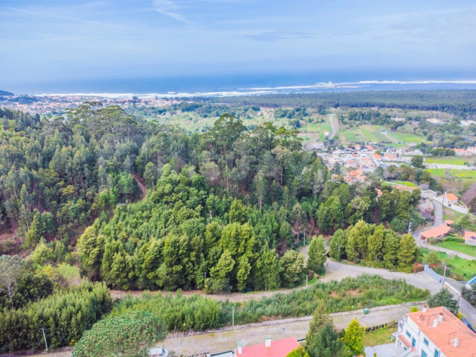 Terreno para Venda em Moledo e Cristelo Foto 12